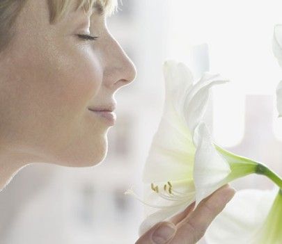 隆鼻会影响嗅觉，真的假的？