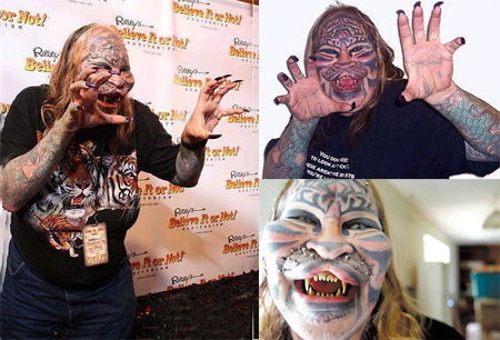 加州“跟踪猫”