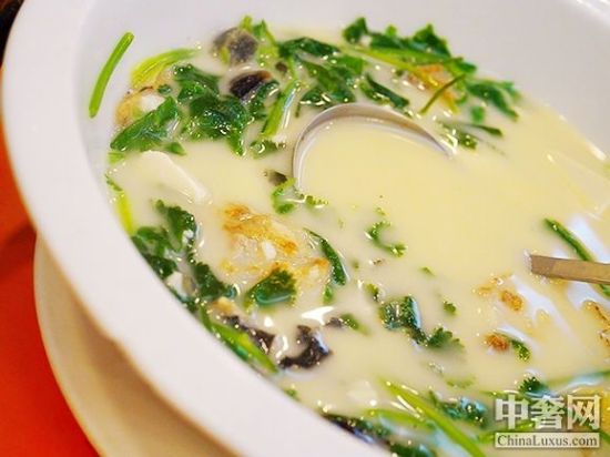 芜茜皮蛋鱼头豆腐汤