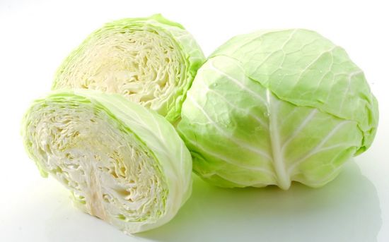 　卷心菜(Brassica oleracea var. capitata)