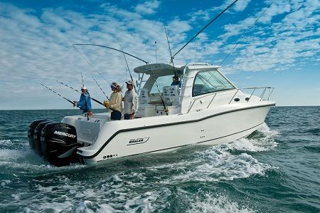 Boston Whaler345钓鱼艇