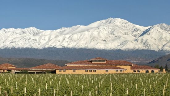 安第斯山下的葡萄园