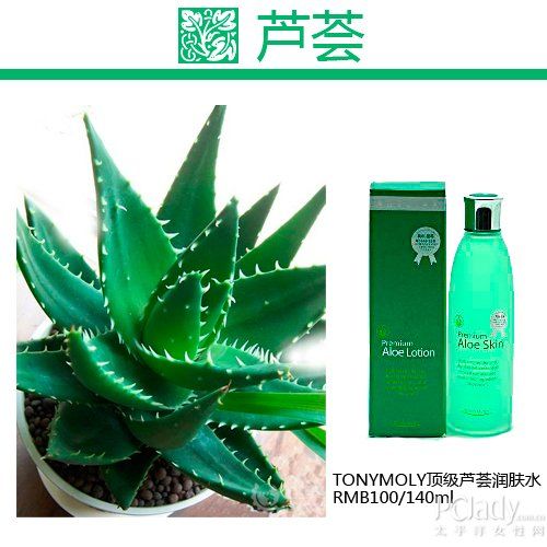 芦荟