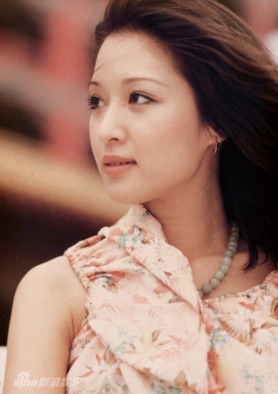李敖伤感忆与胡因梦旧情