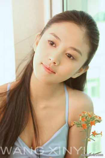 小脸美人全攻略