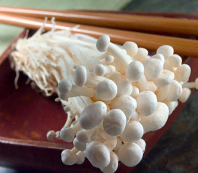 天然的降脂明星