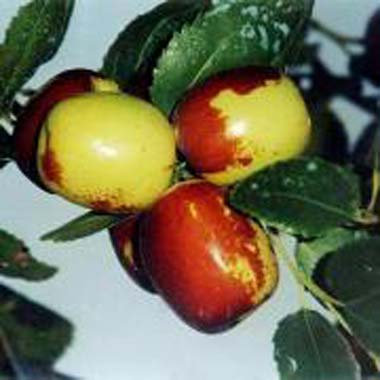 点击图片进入第一页