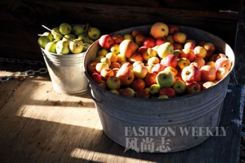 蒙特利尔闻酒香