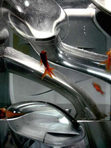 奢华拍品马岩松鱼缸图