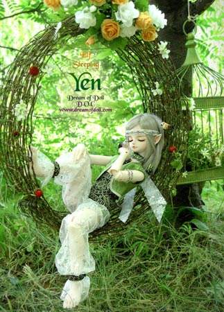 组图:dod娃娃女孩终极梦想(10)