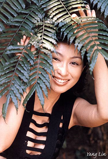 组图:台湾丰胸女星杨林(2)