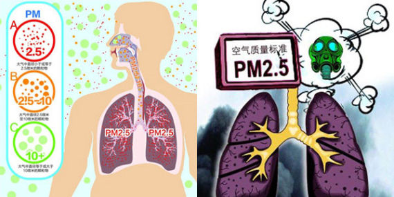 图片来自于网络