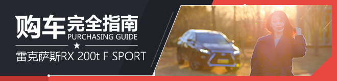 雷克萨斯 RX 2016款 200t 四驱F SPORT