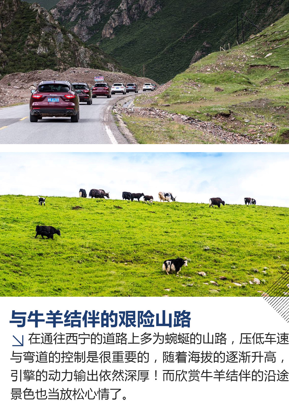 玛莎拉蒂寻美记