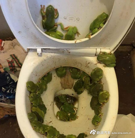 盘点旅途上遇到的一些稀奇事儿