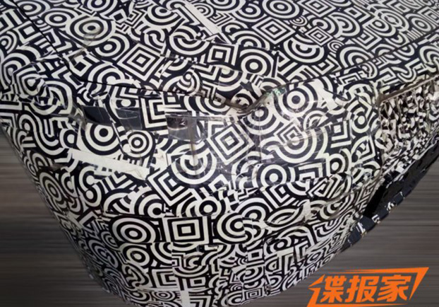 4月上海车展发布 全新LS国内谍照首曝