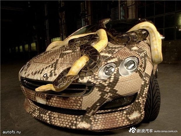 这样的恐怖汽车谁敢坐