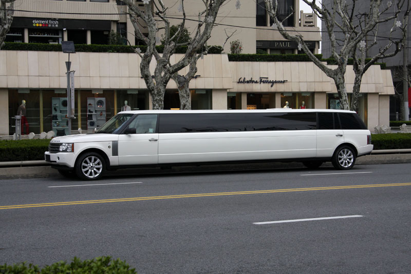 超长路虎礼宾车北京车展亚洲首发(6/510)