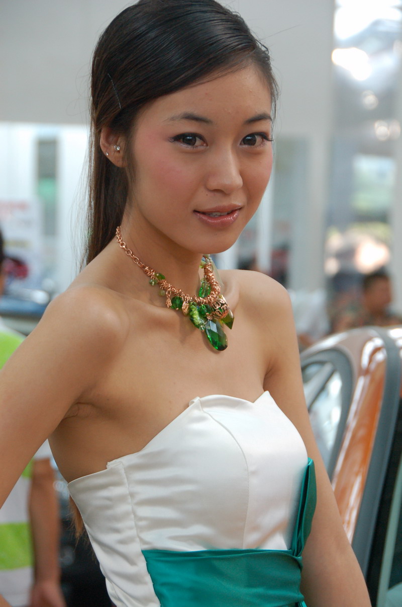 2010银川车展美女车模