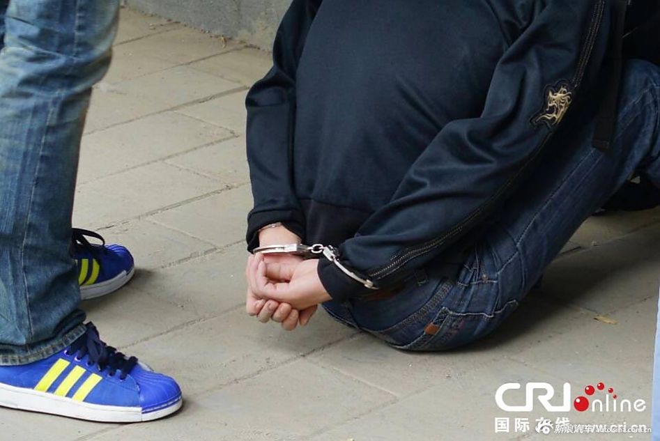 北京车展首日便衣擒获小偷