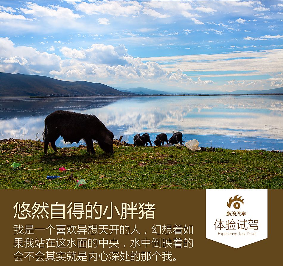 斯巴鲁傲虎2.0t香格里拉之旅