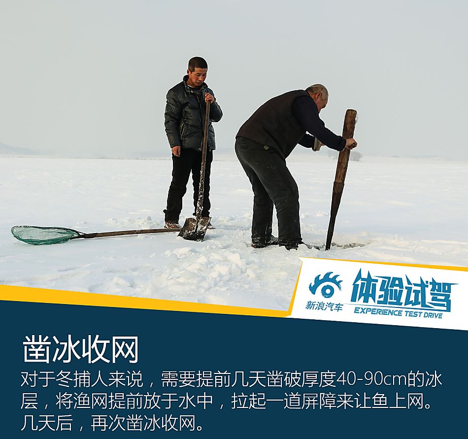 新浪汽车体验试驾东风日产奇骏