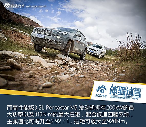 高原试驾自由光