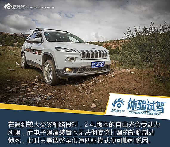 高原试驾自由光