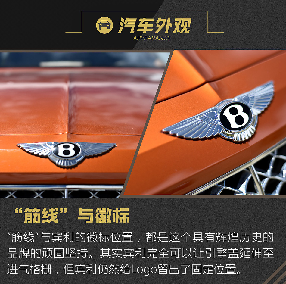 添越 2016款 6.0T 标准版