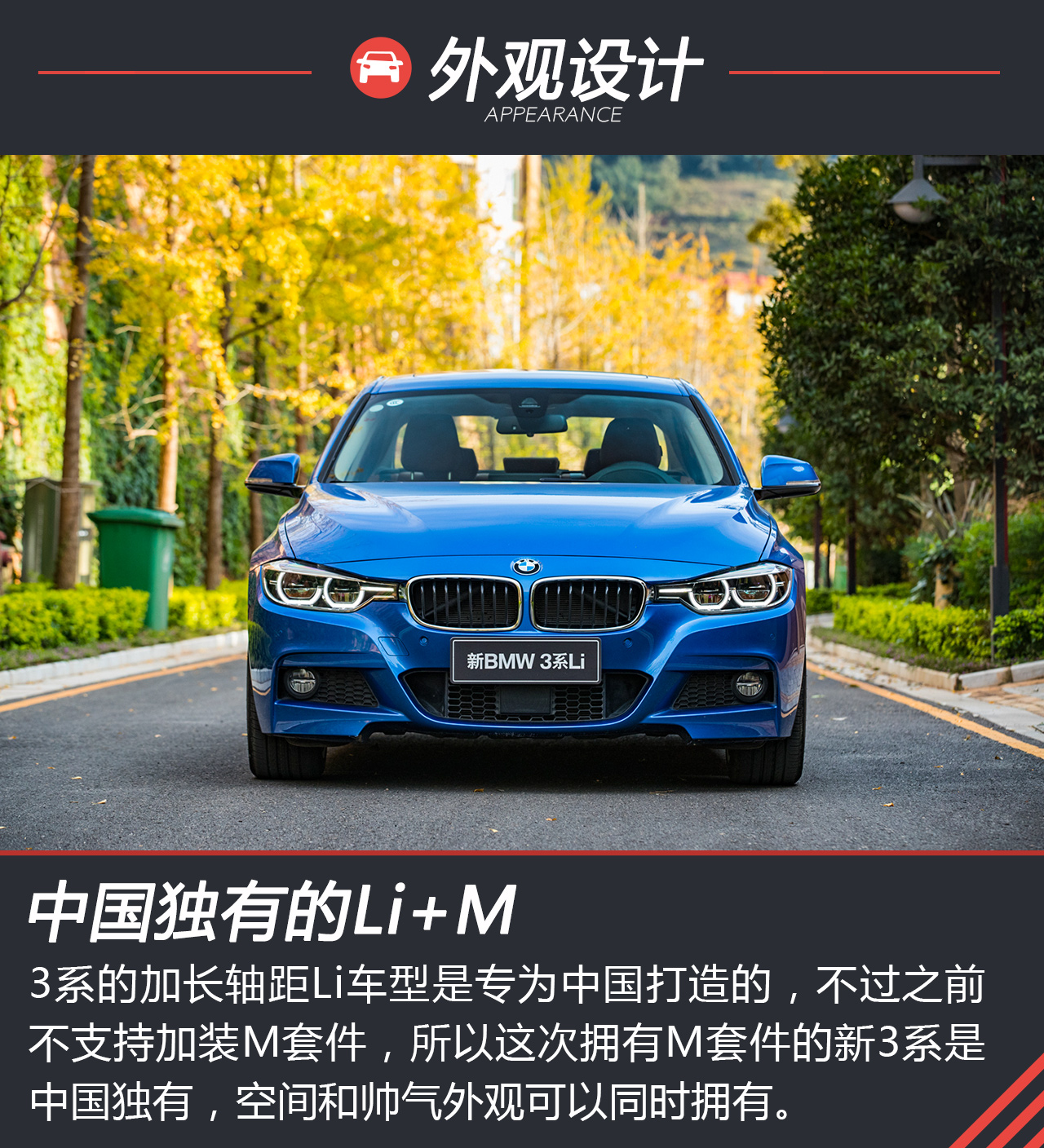 这是什么品种的鸟,吃什么,远动场地粘了胶怎么处理?