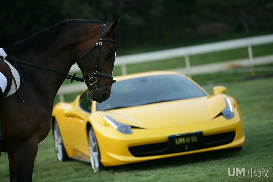 夕阳下的蜜色骏马 法拉利458italia印象(38/81)