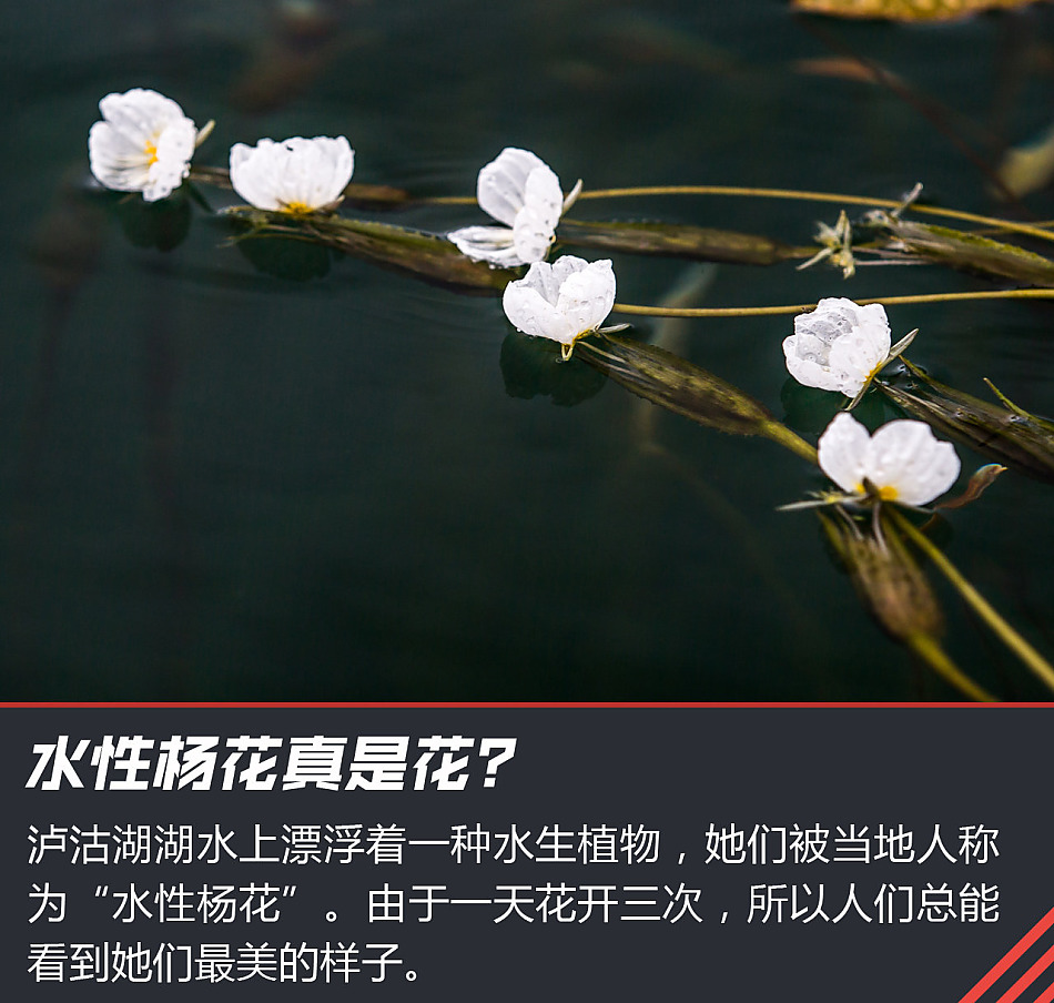 “寰行中国”游记