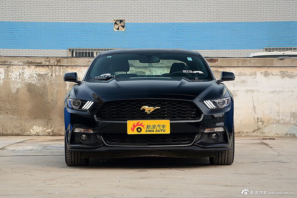 狂野出世 实拍金箔腰线版野马