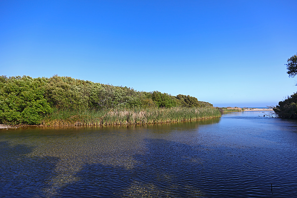 体验试驾法拉利California T
