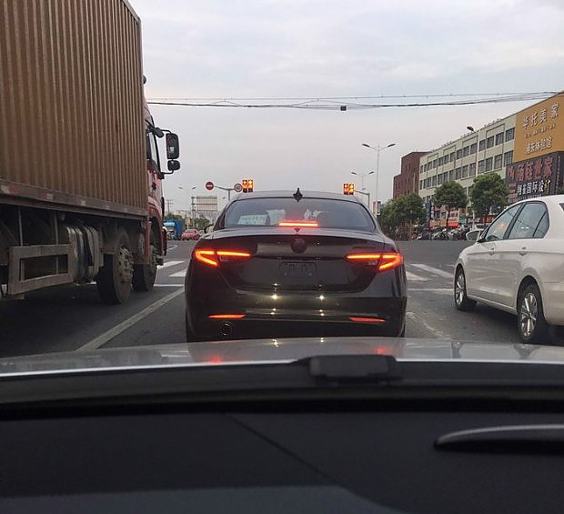 阿尔法罗密欧首款SUV定名