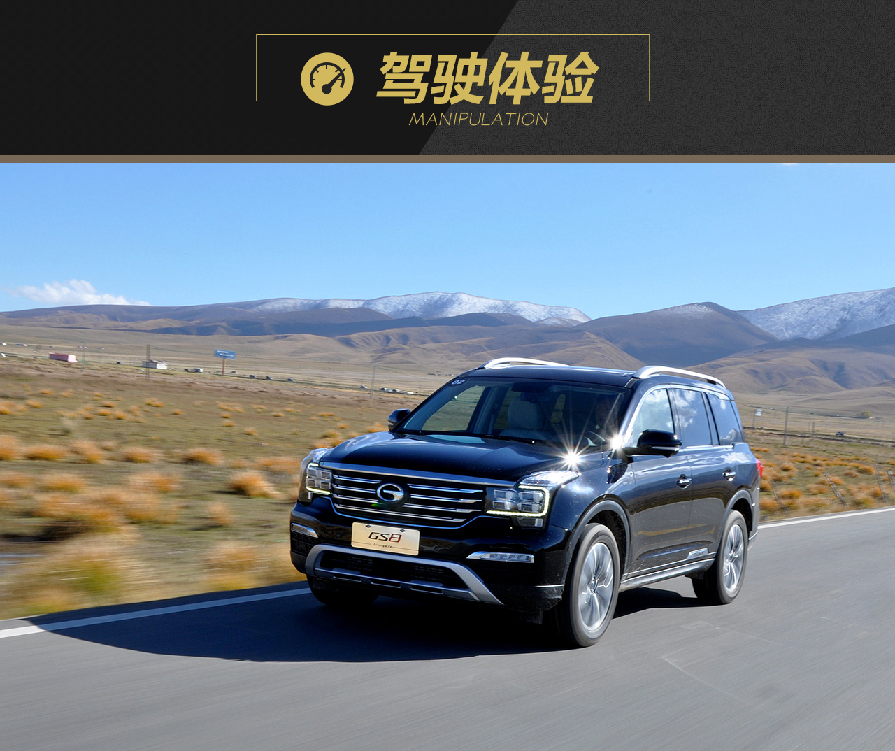 2017款传祺GS8 2.0T自动两驱尊贵版320T