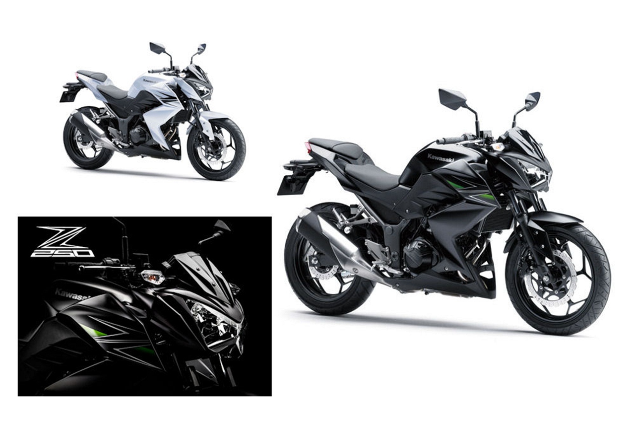 2013款川崎z250入门级街车高清图赏