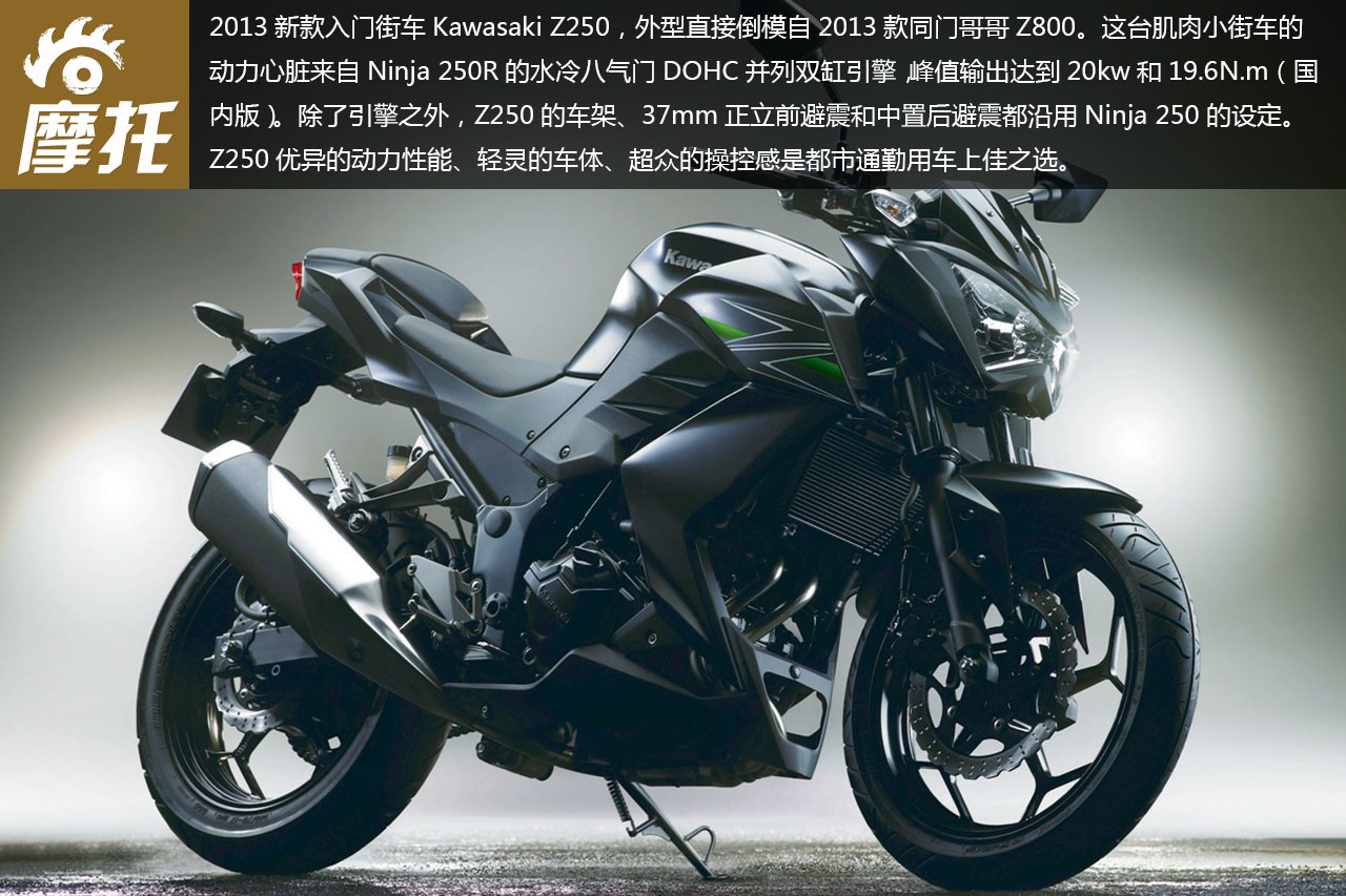 2013款川崎z250入门级街车高清图赏