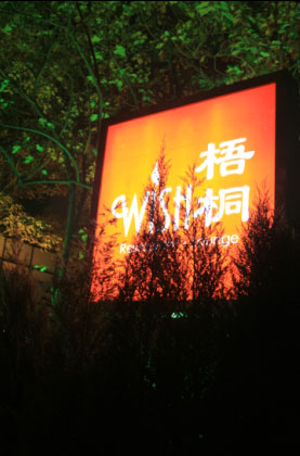 梧桐(图：时光的魔法书)