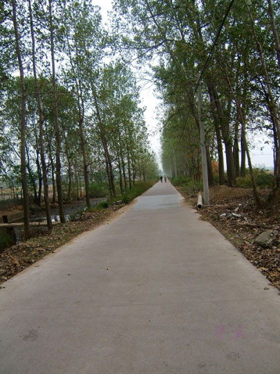 两河镇(图：梦溪)