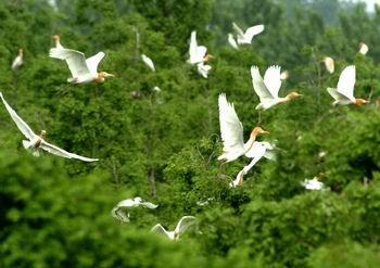 洪泽湖(资料图片)