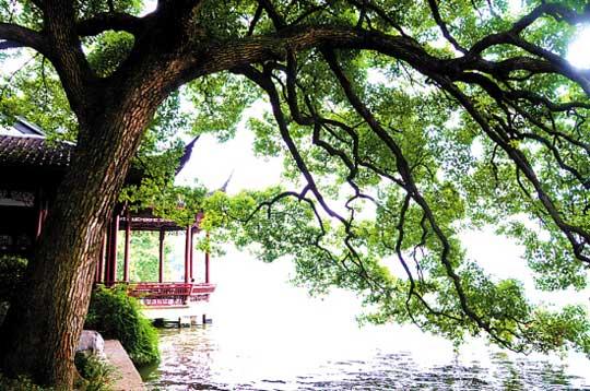 秋天的“平湖秋月”(冯军 东方IC)