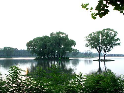 南湖之景(图片来源：独孤闲人的博客)
