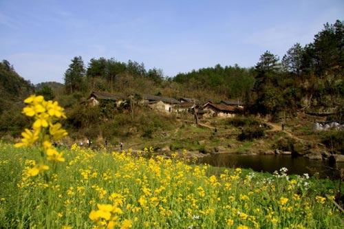 青龙村美景(图片来源：锦绣风景)