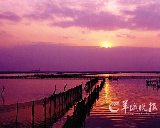 阳澄湖的晚霞(东方IC)