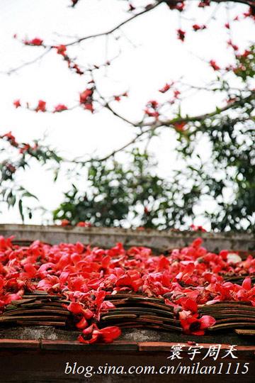鼓浪屿美景(图/文：寰宇周天)