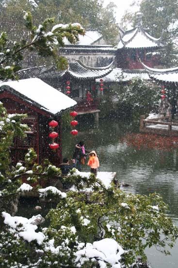 雪中情(摄影：老顽童)