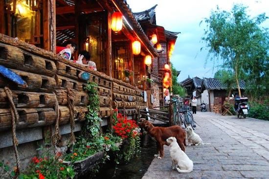丽江的悠闲时光(摄影：滕比邻)
