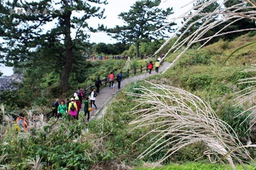 偶来小道(Jeju-olle)