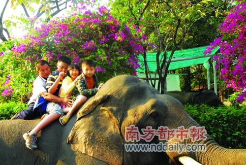 三个小孩骑大象。(左为工作人员)